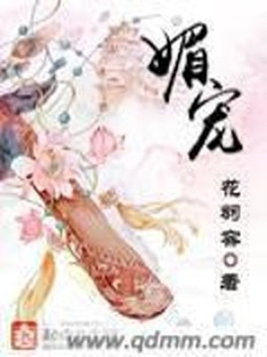 3D刺客梅花十三本子h全彩